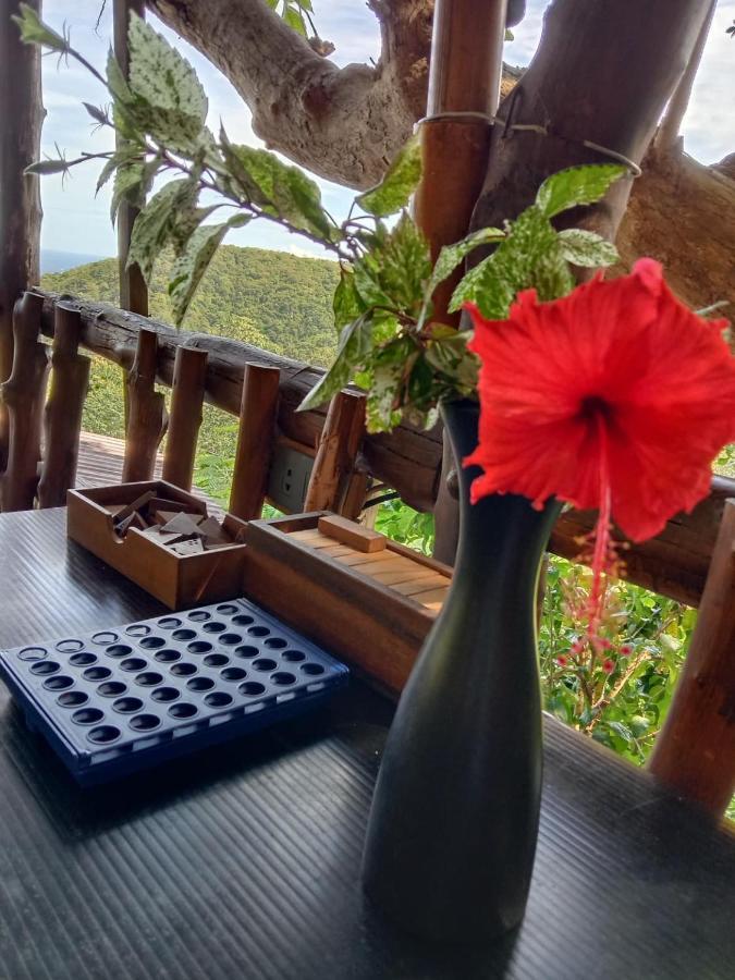 Tree House Bungalows 코타오 외부 사진