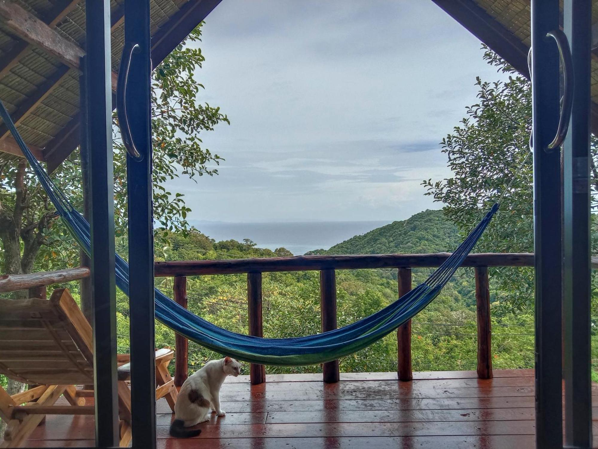 Tree House Bungalows 코타오 외부 사진